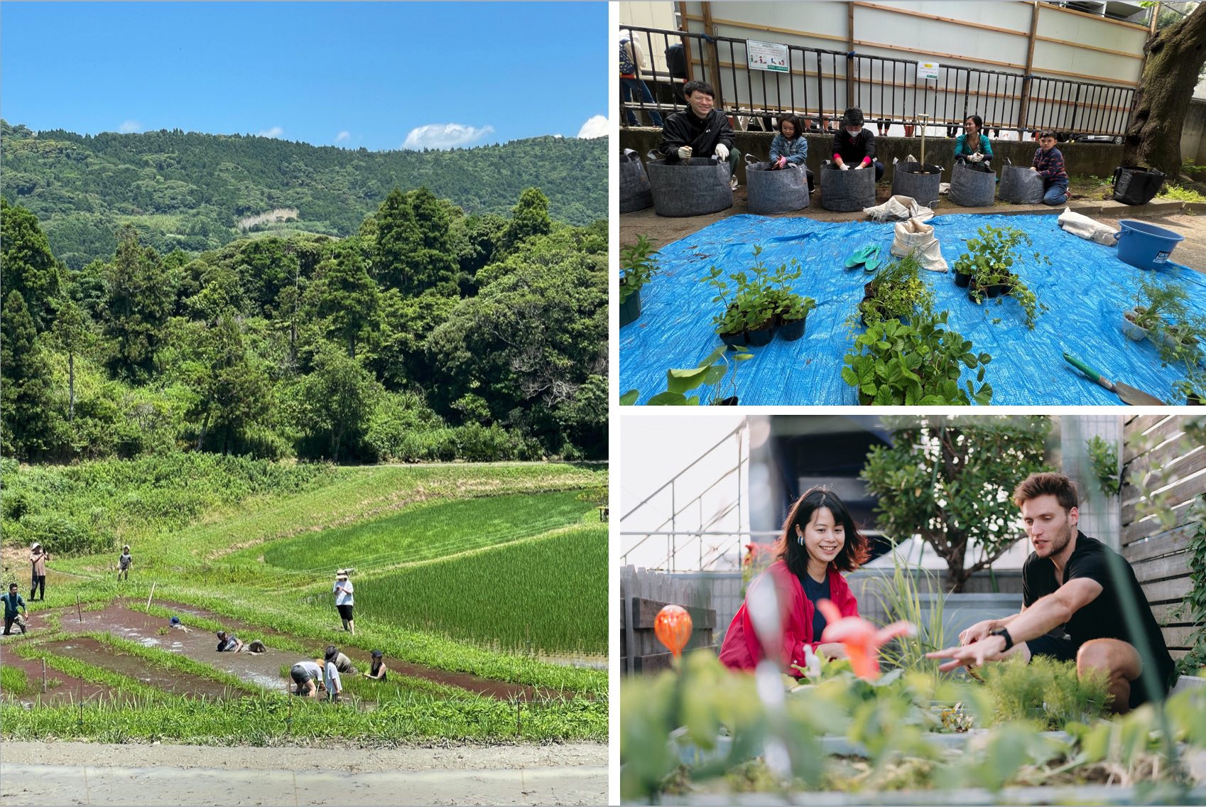 RYOZAN PARK GREENイメージ