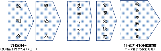 実習の流れの概要図