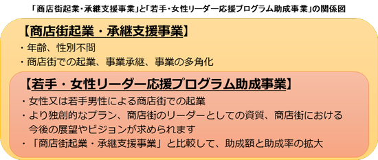 助成事業の説明図